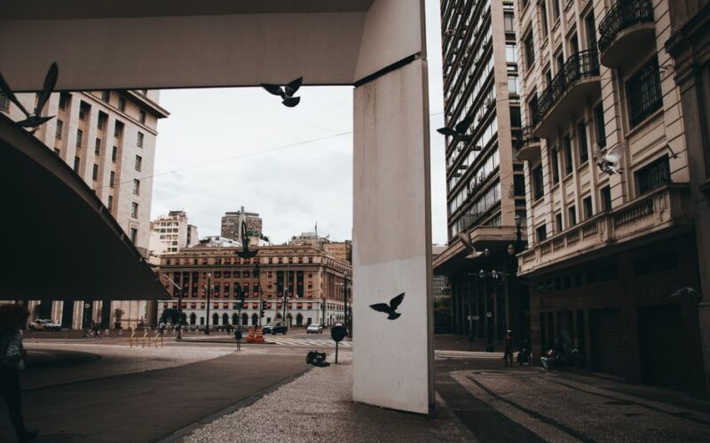 Política São Paulo: Desafios na Gestão